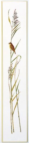 Chemin de table Phragmite des joncs II