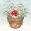 Season's Tweetings