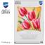 Coussin - Tulipes