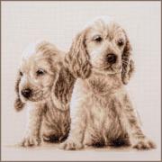 2 Chiens