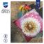 Coussin - Fleur de peluche