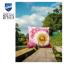 Coussin - Fleur de peluche