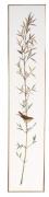 Chemin de table Phragmite des joncs I