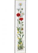 Coquelicots