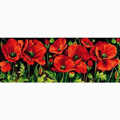 Coquelicots