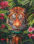Tigre dans la jungle