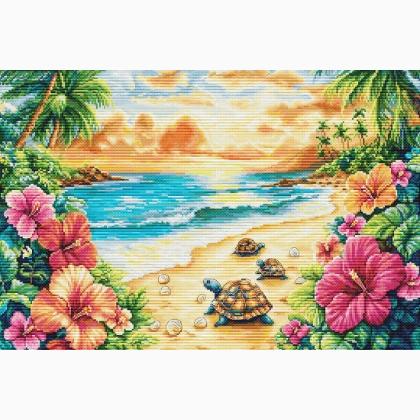 Tropical Summer