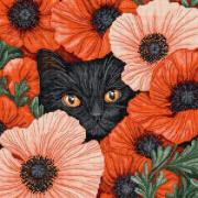 Yeux de pavot