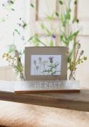 MP - Florales Herbst - Distelwiese