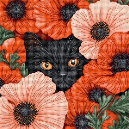 Yeux de pavot