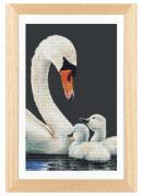 Swans and Signets - Aida noir