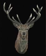Red Deer - Noir