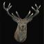 Red Deer - Noir