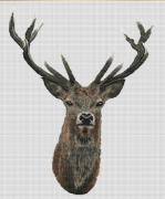 Red Deer - Lin
