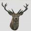 Red Deer - Lin
