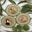 Tropical Birds Trio