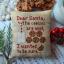 Cookies for Santa