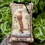 Cat Tarot IX - The Hermit