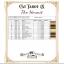 Cat Tarot IX - The Hermit