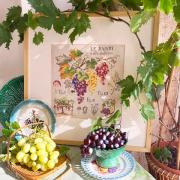 Étude aux Raisins - Lin
