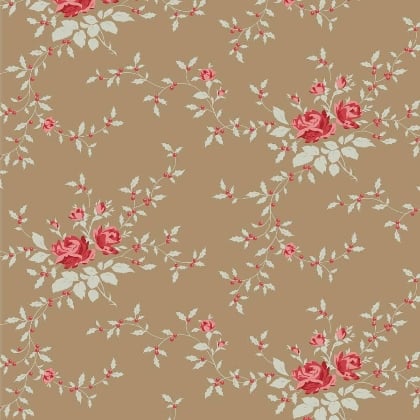 Noel Taupe
