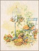 Libéré de la cage à oiseaux