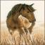 Cheval