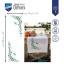 Chemin de Table - Eucalyptus
