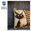 Coussin - Chat Adore Sorcière
