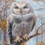 Wildwood Owl