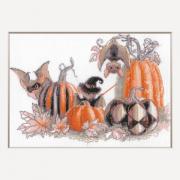 Pumpkin Bat Party