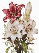 The Scent of Lilies