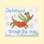 Dachshund Through The Snow Christmas Card