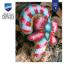 Coussin - Bonbon
