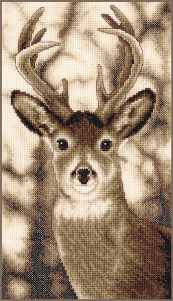 Cerf