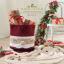 Livre Eco Vita 4 - Décoration de Noël pour la maison - 6 projets
