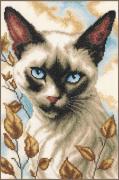 Chat siamois