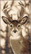Cerf