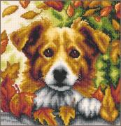 Chien en automne