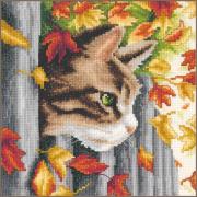 Chaton sur la clôture