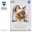 Coussin - Chat Siamois