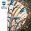 Tapis - Herbes