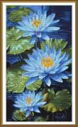 Lotus bleus