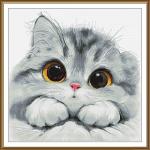 Chaton timide