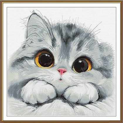 Chaton timide