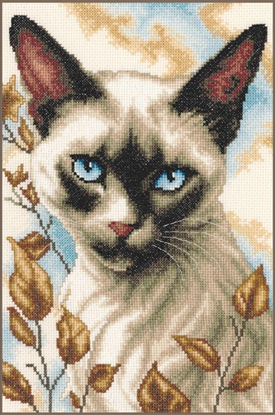 Chat siamois