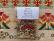 Bead Pack - Nasturtium Capucine Sampler