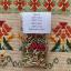 Bead Pack - Nasturtium Capucine Sampler