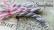 Threads Pack - Snowflakes - Original