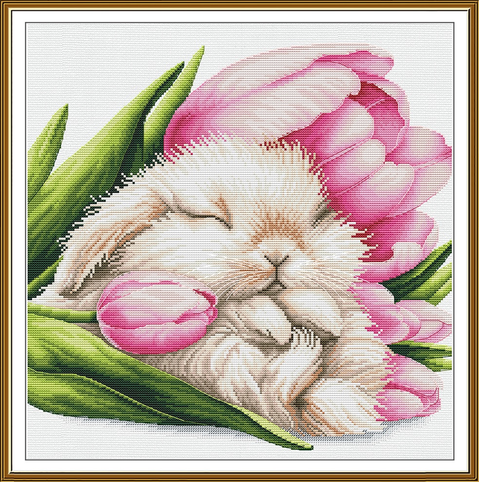 Rêves de tulipes